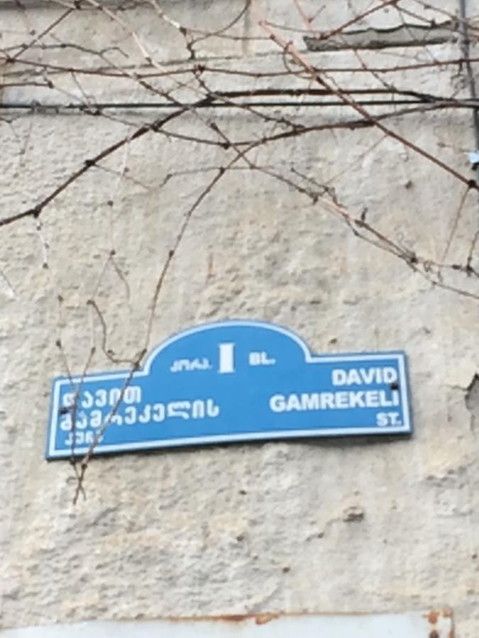 Vip Apartment At Gamrekeli Str 1 Tiflis Dış mekan fotoğraf